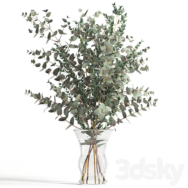 Bouquet of 2 types of eucalyptus 3DSMax File