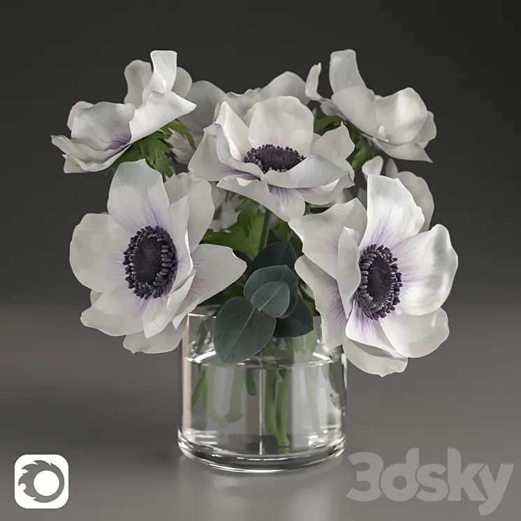 Bouquet of anemone 3DS Max