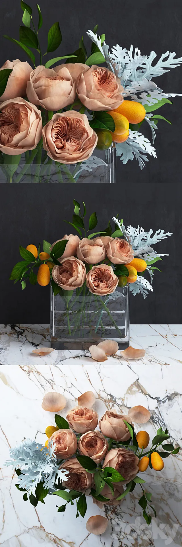 Bouquet of Austin’s Roses Kumquat and Dusty Miller plant 3dsMax Model