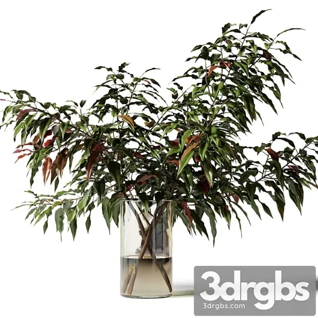 Bouquet of branches with green leaves in a glass vase