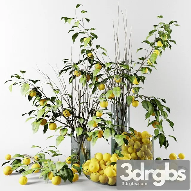 Bouquet of chinese apple tree branches with yellow apples
