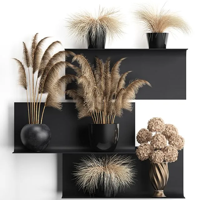 Bouquet of dried flowers (black pots) 3dsMax Model