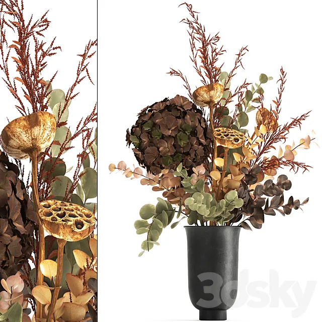 Bouquet of dried flowers in a black vase with dry red branches of Solidago Hydrangea Dry lotus and Barberry . 158. 3ds Max