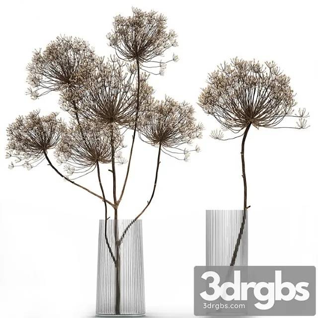 Bouquet Of Dried Flowers In A Glass Vase With Dry Branches Hogweed 158 3dsmax Download