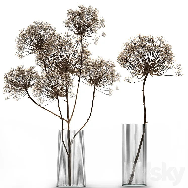 Bouquet of dried flowers in a glass vase with dry branches Hogweed . 158. 3DS Max Model