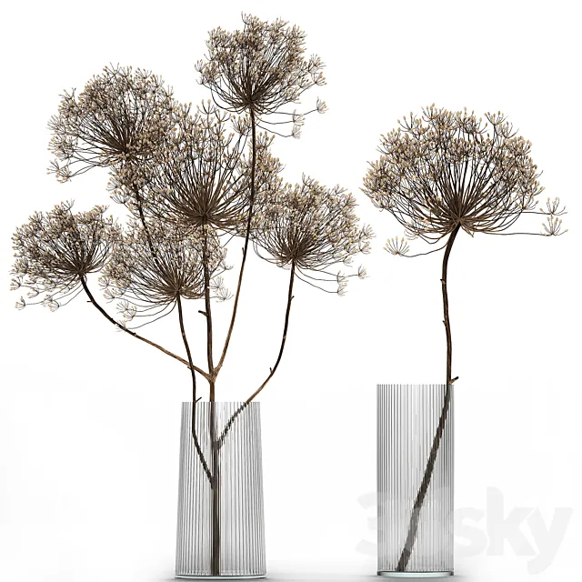 Bouquet of dried flowers in a glass vase with dry branches Hogweed . 158. 3DSMax File