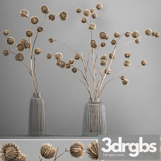 Bouquet of Dried Flowers in a Vase With Branches of Dry Thorns Thistle 182 3dsmax Download