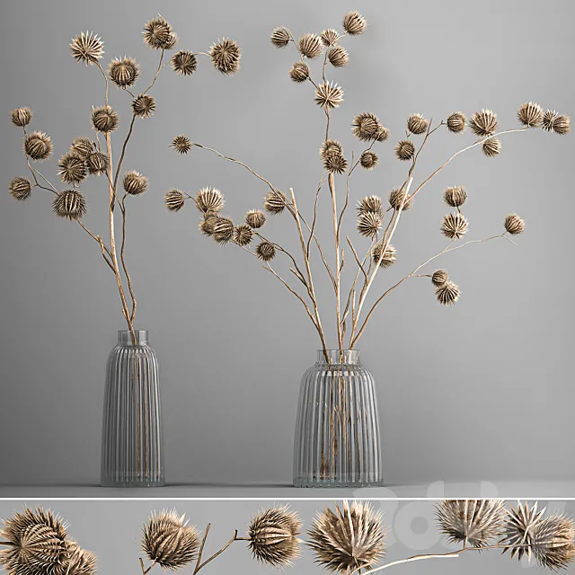 Bouquet of dried flowers in a vase with branches of dry thorns thistle . 182. 3DS Max Model