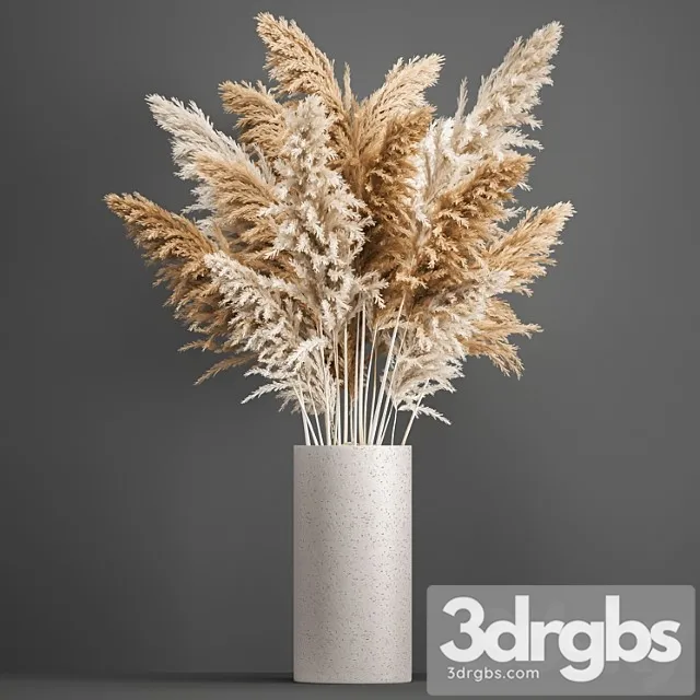 Bouquet of dried flowers in a white vase with pampas, pampas grass, cortaderia, branch. 192.