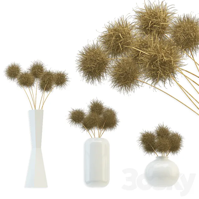 Bouquet of dried round flowers 3DSMax File