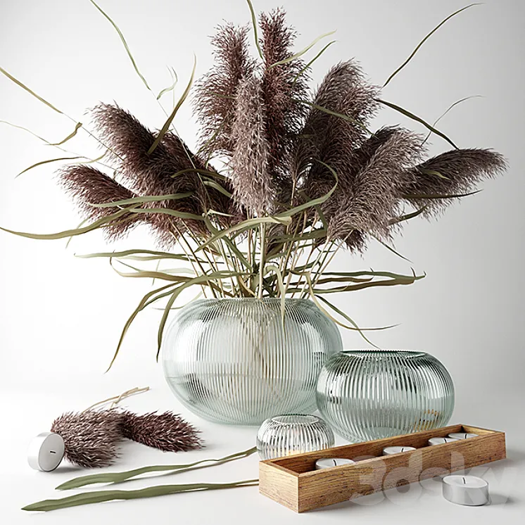 Bouquet of dry grass in a glass vase 3DS Max