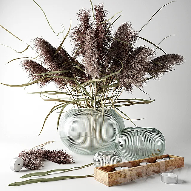 Bouquet of dry grass in a glass vase 3DSMax File