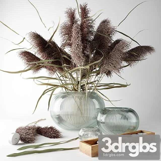 Bouquet of dry grass in a glass vase