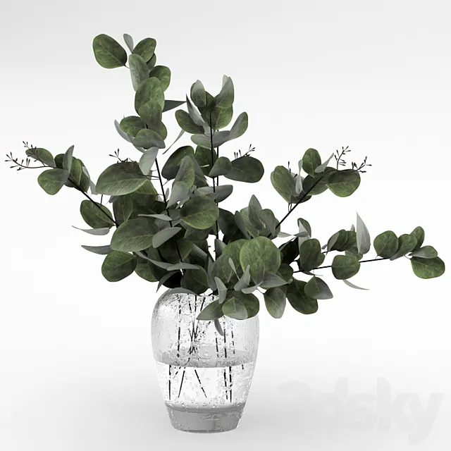 Bouquet of eucalyptus 3DSMax File