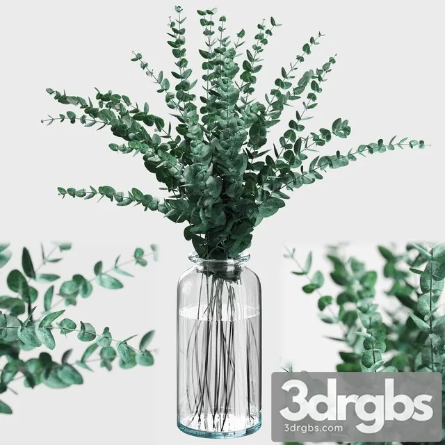 Bouquet of Eucalyptus Branches 3dsmax Download