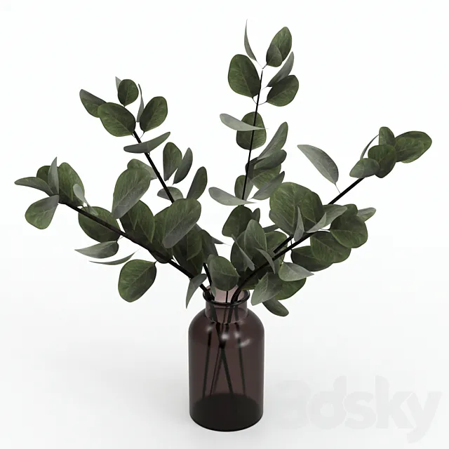 Bouquet of eucalyptus twigs. 3dsMax Model