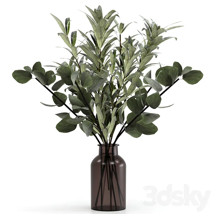 Bouquet of eucalyptus twigs and olives. 3DS Max