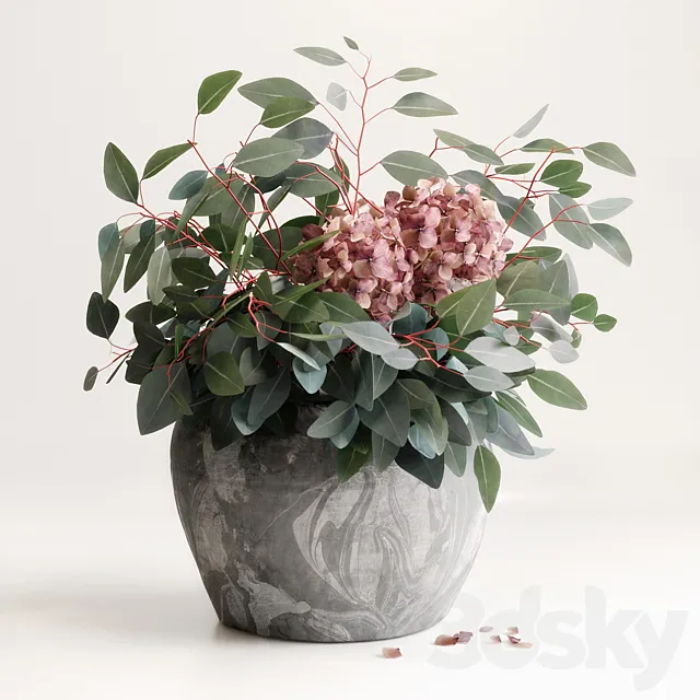 Bouquet of Eucalyptus with Hydrangea 3DSMax File