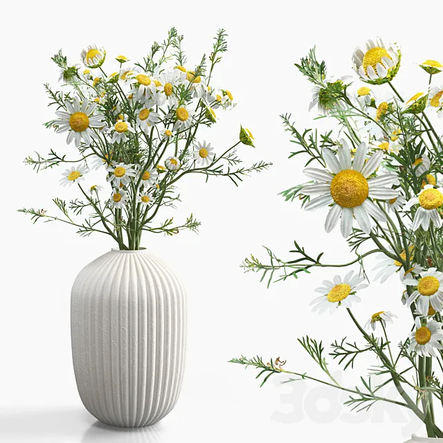 Bouquet of field daisies in a vase 3dsMax Model