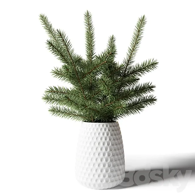 Bouquet of fir branches in a white vase 3DSMax File