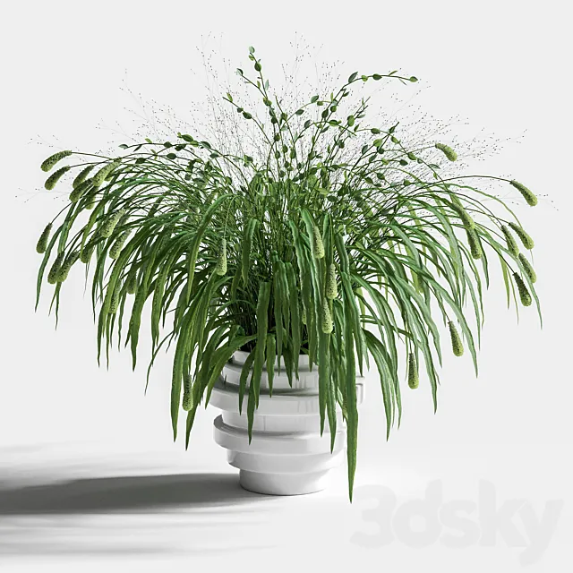 Bouquet of grass 3DS Max Model