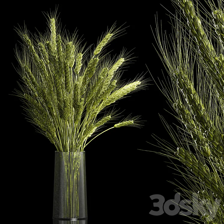 Bouquet of green flowers in a glass vase for decoration of wheat branches spikelet. 265. 3DS Max