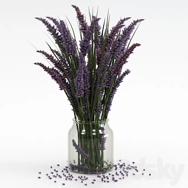 Bouquet of lavender. 3DS Max Model