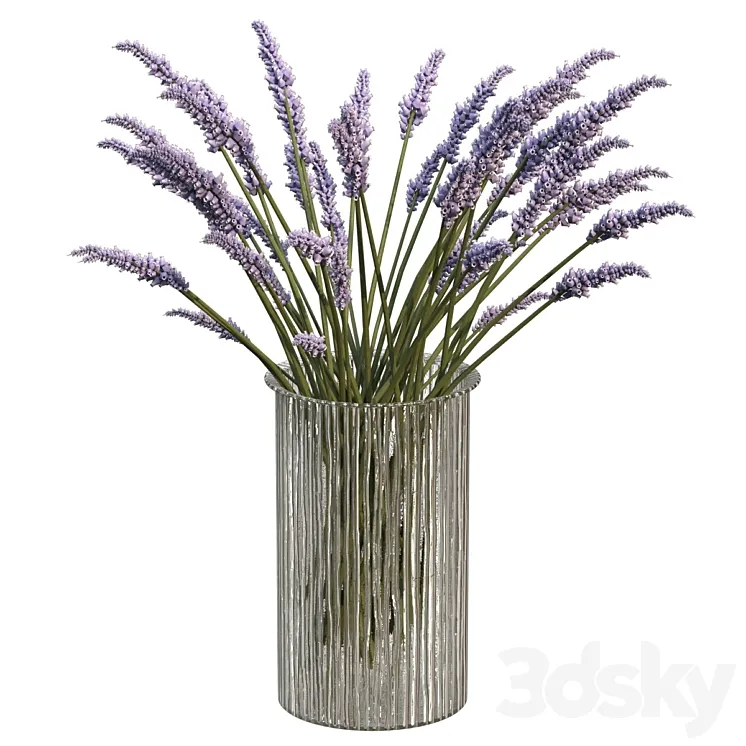 Bouquet of lavender 3DS Max