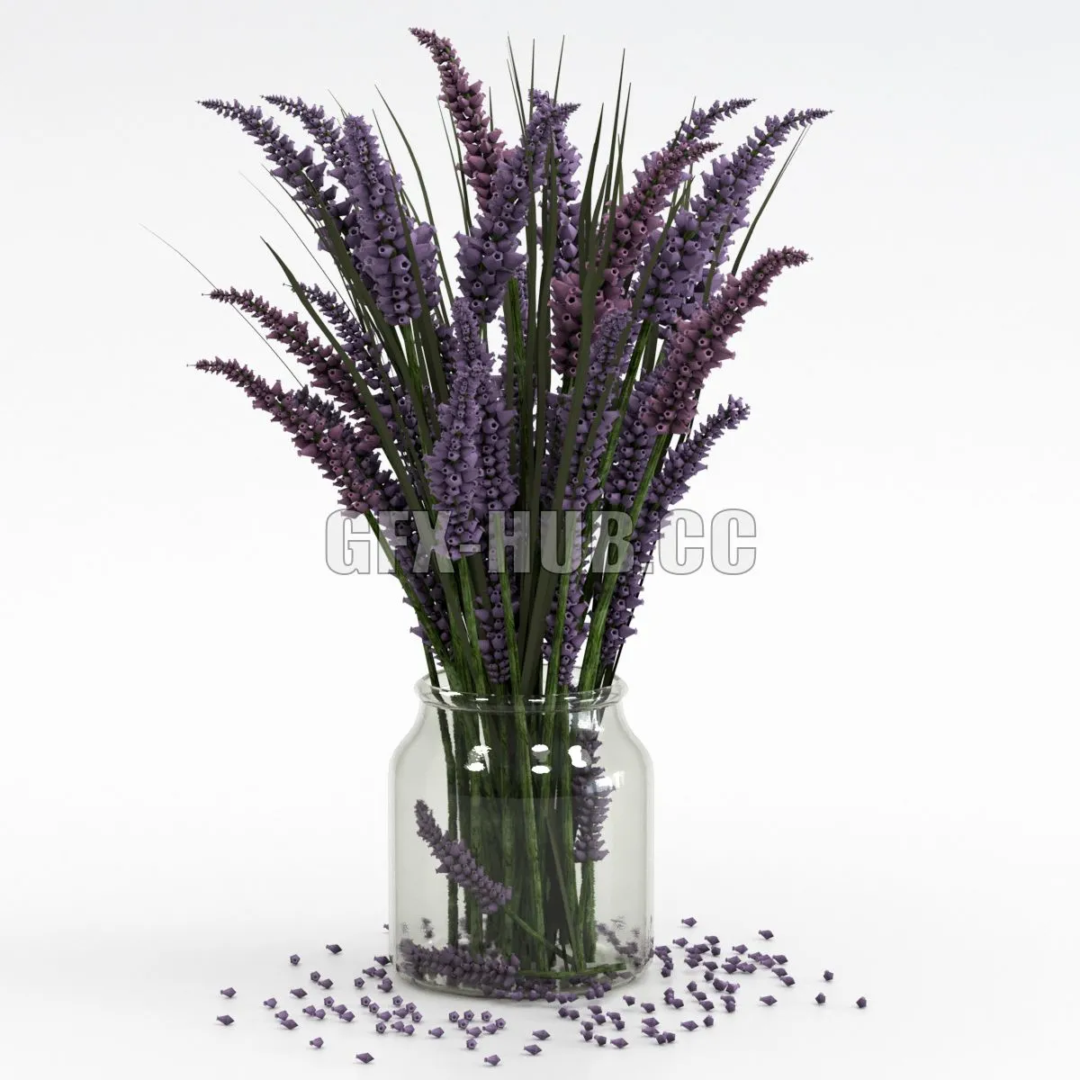 Bouquet of lavender 3dsMax Model