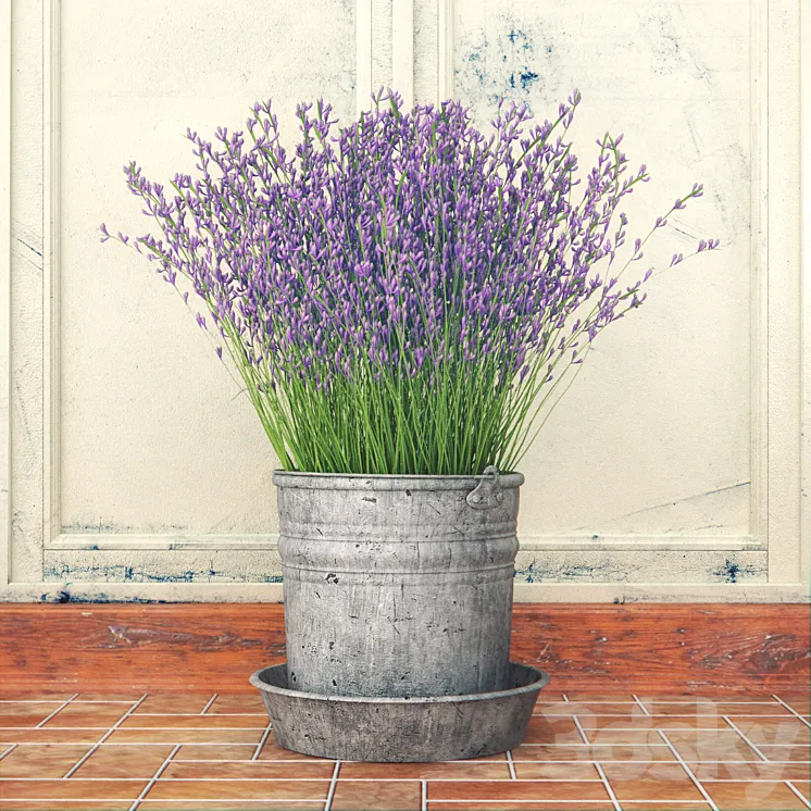 Bouquet of lilac flowers in a bucket 3DS Max