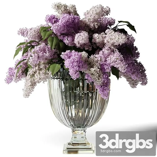 Bouquet of lilacs in a glass vase