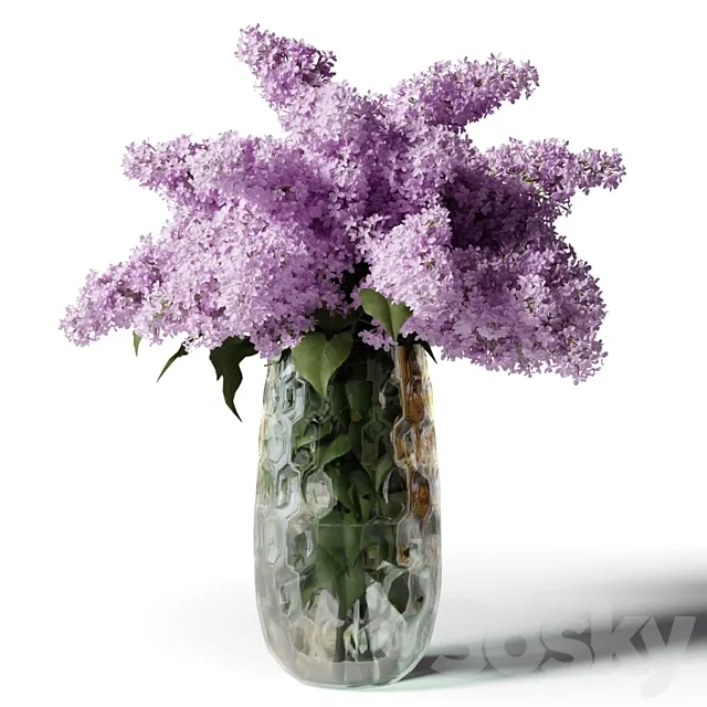 Bouquet of lilacs in a modern tall vase 3DSMax File