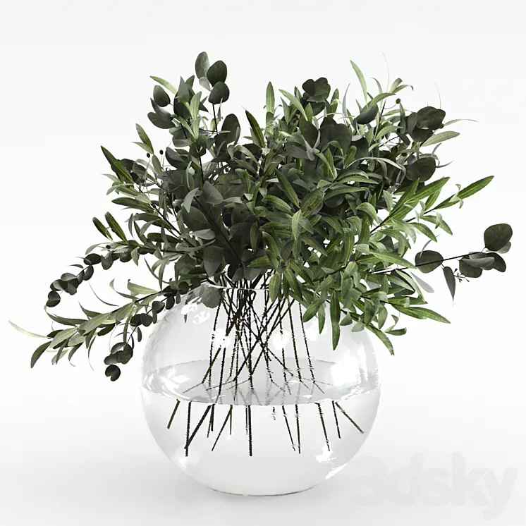 Bouquet of olives and eucalyptus 3DS Max
