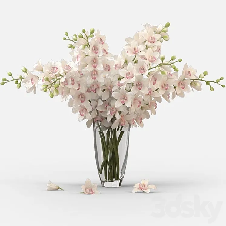 Bouquet of orchids 3DS Max