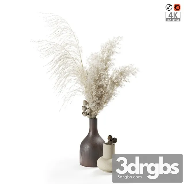 Bouquet of pampas grass