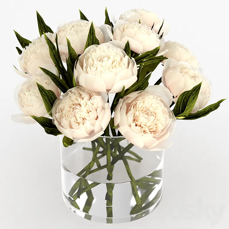 Bouquet of peonies 3DS Max