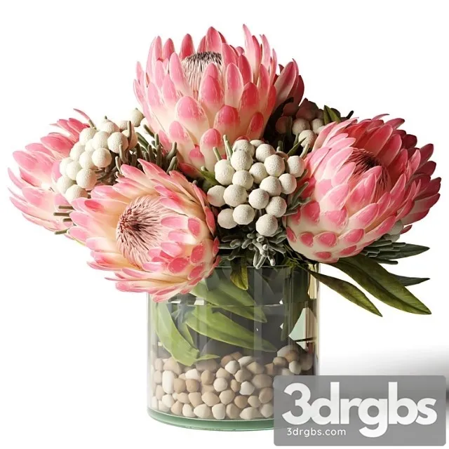 Bouquet of Pink Proteas With Balls 3dsmax Download