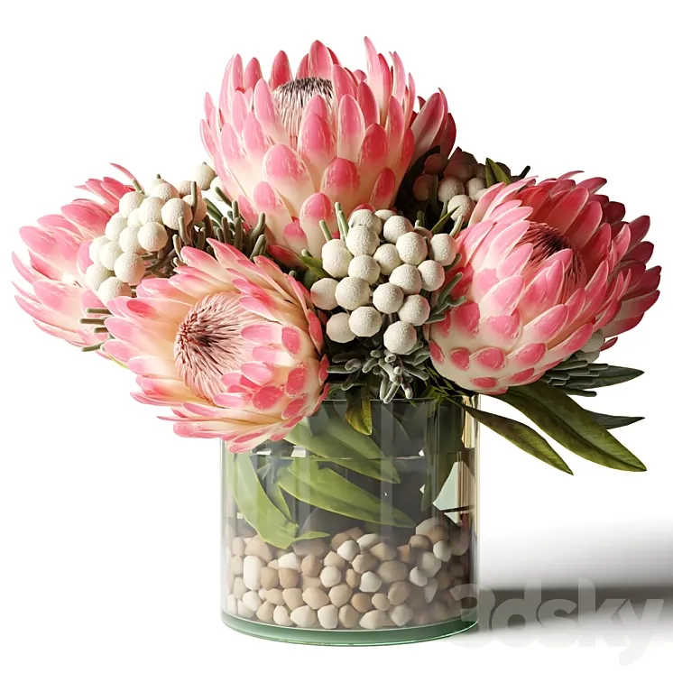 Bouquet of pink proteas with balls 3DS Max Model