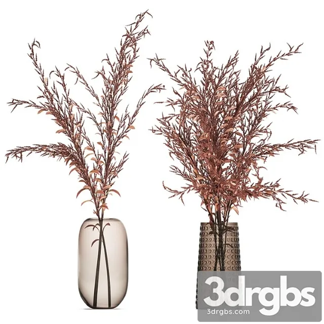 Bouquet of red branches of dried flowers in a glass vase with goldenrod, solidago. set 153.
