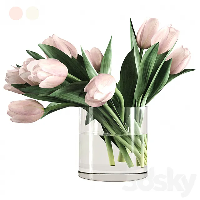 Bouquet of Tulips 3dsMax Model