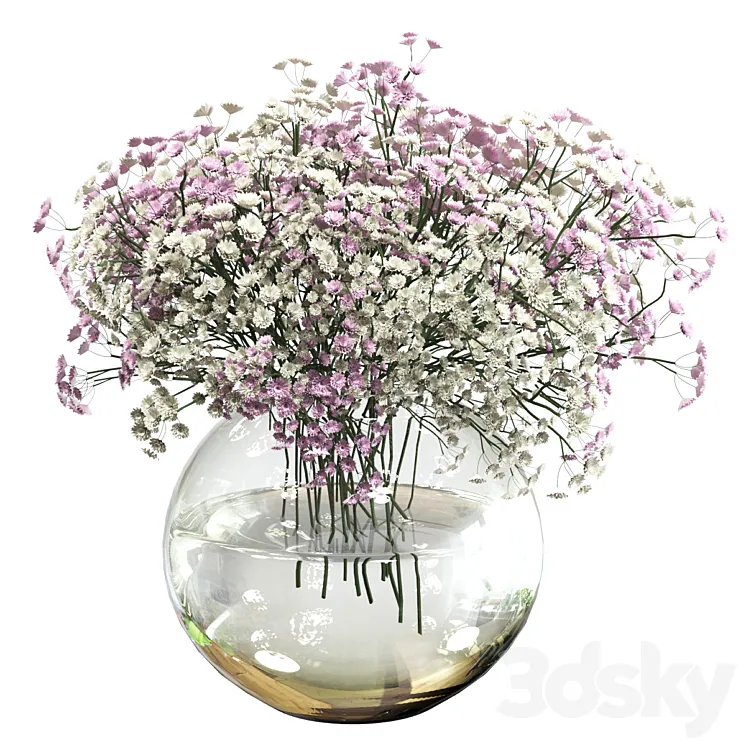 Bouquet of white and pink gypsophila 3DS Max