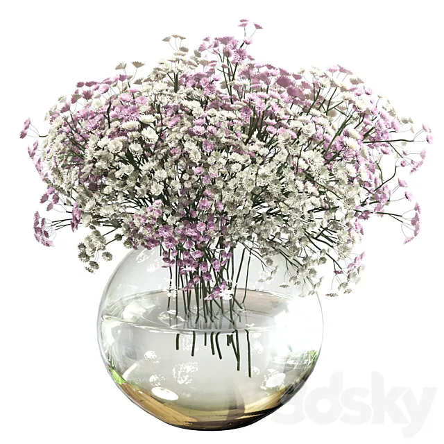 Bouquet of white and pink gypsophila 3dsMax Model