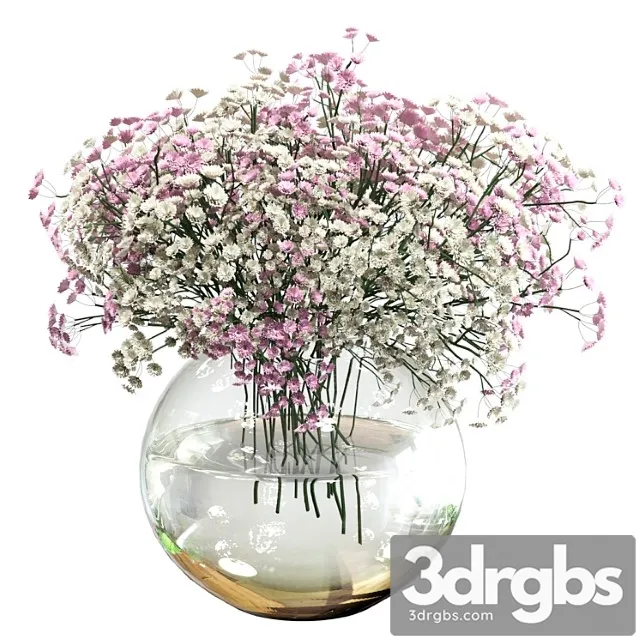 Bouquet of white and pink gypsophila