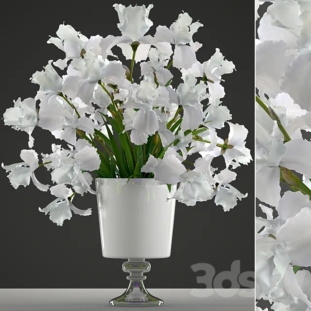 Bouquet of white flowers 45. White Irises. vase. decor. flower 3DSMax File