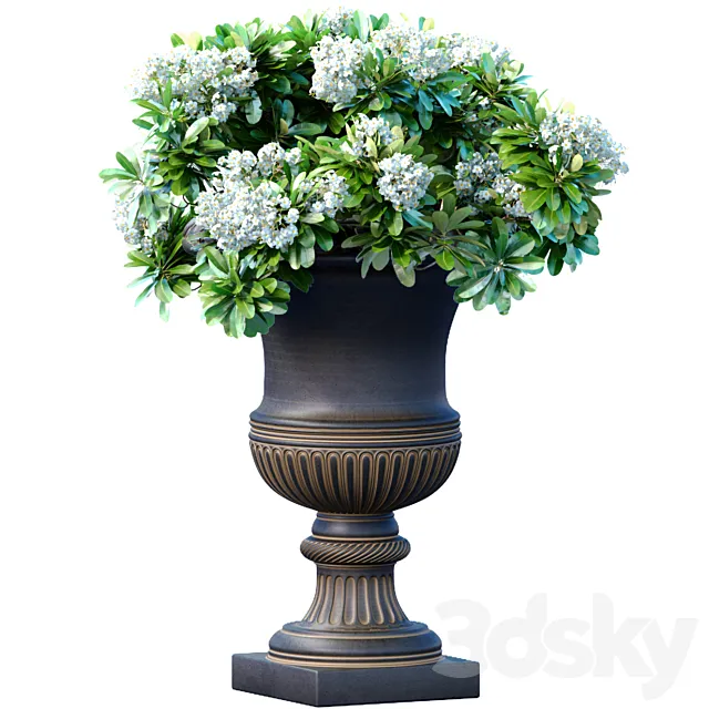 Bouquet of white flowers in a classic black vase for decoration 3ds Max