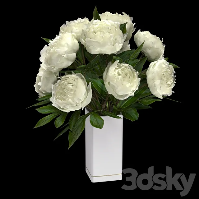 Bouquet of white peonies 3dsMax Model