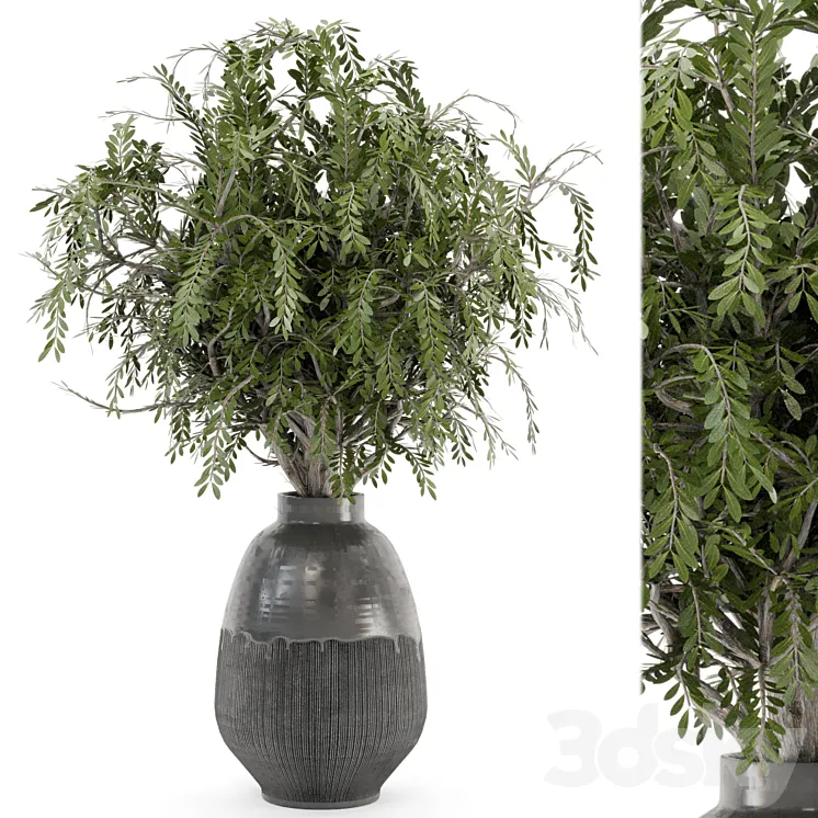Bouquet Plants in rusty Concrete Pots – Set 562 3DS Max Model