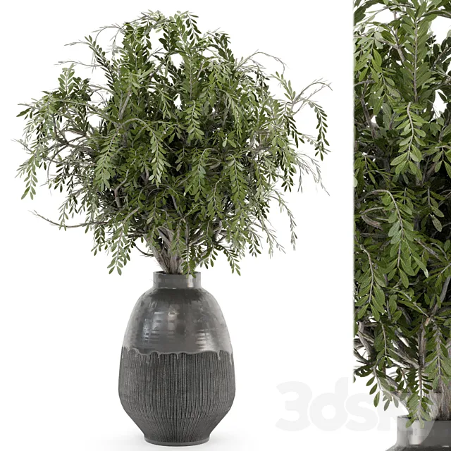 Bouquet Plants in rusty Concrete Pots – Set 562 3DSMax File