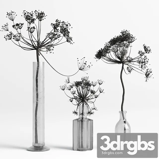 Bouquet set 01 vase glass dry hogweed