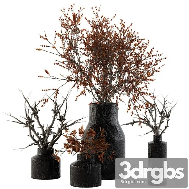 Bouquet Set 11 Dried Branch And Berry 3dsmax Download